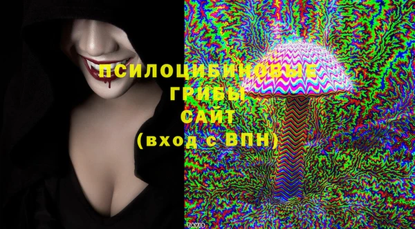 марки nbome Белокуриха