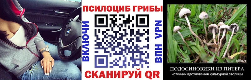 Галлюциногенные грибы Psilocybine cubensis  Семикаракорск 